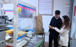 Doanh nghiệp tăng tốc sản xuất, đáp ứng đơn hàng