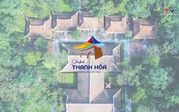 Du lịch số Việt Nam bước vào giai đoạn tăng trưởng mạnh mẽ