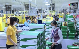 Tăng tốc sản xuất kinh doanh ngay từ đầu năm 2026