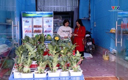 Thanh Hóa huy động hơn 2.500 điều tra viên cho Tổng điều tra kinh tế 2026