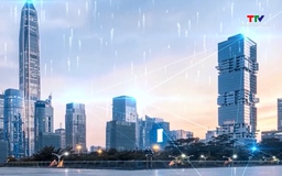 Bộ Khoa học và Công nghệ sẽ đấu giá số dịch vụ giải đáp thông tin 