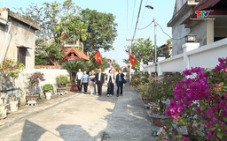 Thanh Hoá rực rỡ cờ, hoa chào mừng Đại hội XIV của Đảng