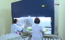 Ứng dụng công nghệ nuôi cấy mô tế bào thực vật