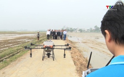 Cánh đồng công nghệ - Hướng đi mới của nền nông nghiệp xã Yên Trường 