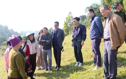 Phát huy hiệu quả các công trình, dự án do Tổ chức Tầm nhìn thế giới tài trợ