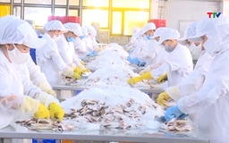 Kỳ vọng của doanh nghiệp trong giai đoạn phát triển mới sau đại hội XIV