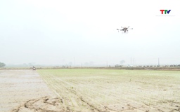 Thúc đẩy chuyển đổi số trong hợp tác xã nông nghiệp