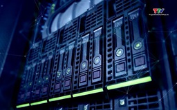 Đấu giá thành công mã, số dịch vụ viễn thông