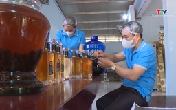 Khai thác tài nguyên bản địa nâng tầm sản phẩm OCOP ở Thượng Ninh