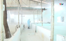 Thanh Hóa công bố hết dịch tả lợn châu Phi trên toàn tỉnh