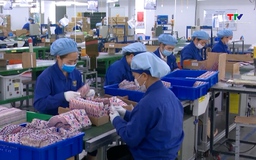 Năm 2026, Việt Nam tiếp tục là điểm đến thu hút vốn FDI 