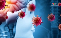 Ngành Y tế Thanh Hóa khuyến cáo phòng dịch bệnh nguy hiểm do virus Nipah