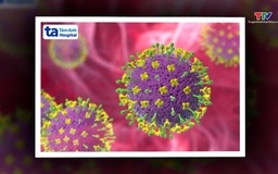 Việt Nam tăng cường công tác giám sát bệnh do virus Nipah