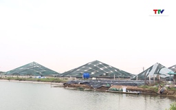 Sản lượng thủy sản giai đoạn 2021 - 2025 đạt hơn 1,06 triệu tấn