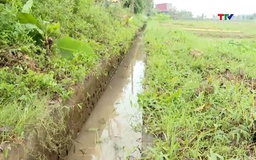 Chủ động cấp nước sản xuất vụ chiêm xuân năm 2026