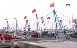 Quyết liệt thực hiện các giải pháp chống khai thác hải sản bất hợp pháp