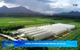 Bản tin Nông nghiệp - Nông thôn ngày 03/01/2026