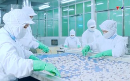 EU kiểm soát thủy sản nhập khẩu