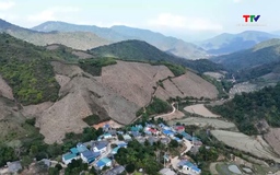 Khát khao nơi vùng lõm sóng