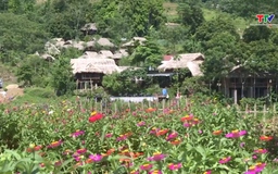 Liên kết nội tỉnh – động lực nâng tầm du lịch Thanh Hóa 