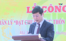 Thôn Nhân Lý, xã Hà Trung đón nhận nông thôn mới kiểu mẫu 