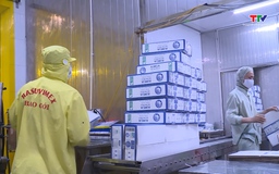 Xuất khẩu của Thanh Hóa tiếp tục duy trì đà tăng trưởng