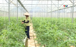 Tăng cường ứng dụng công nghệ trong phát triển nông nghiệp thông minh