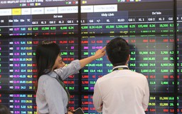 Người hành nghề chứng khoán phải tham gia tập huấn tối thiểu 8 giờ mỗi năm