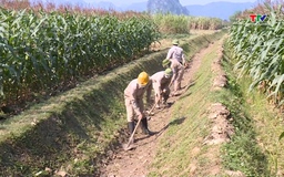 Tập trung ra quân làm thuỷ lợi mùa khô phục vụ sản xuất năm 2026