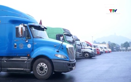 Xuất nhập khẩu khởi sắc đầu năm 2026 