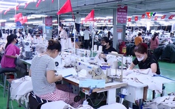 GDP năm 2025 tăng 8,02% 