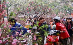 Chỉ thị về tổ chức đón Tết Nguyên đán Bính Ngọ năm 2026