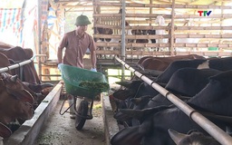 Tăng cường các biện pháp phòng, chống bệnh bại liệt