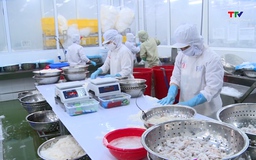 Xuất khẩu thủy sản vượt mốc 11 tỷ USD