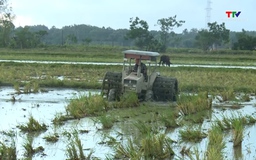 Chuẩn bị các điều kiện sản xuất vụ xuân