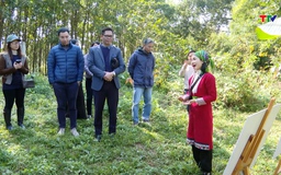 Khởi động dự án “Gieo mầm bền vững”