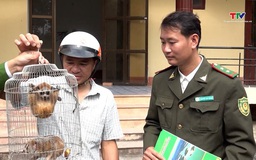 Tăng cường kiểm soát vi phạm pháp luật liên quan đến động vật hoang dã