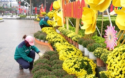 Phường Hạc Thành chỉnh trang đô thị đón Tết Nguyên đán