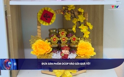 Bản tin Tài chính - Thị trường ngày 11/02/2026