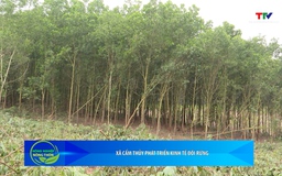 Bản tin Nông nghiệp - Nông thôn ngày 11/02/2026