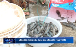 Bản tin Dòng chảy kinh tế ngày 11/02/2026