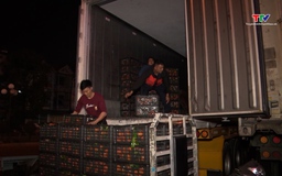 Chợ Tết xuyên đêm những ngày cuối năm