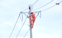 Công ty Cổ phần Xây lắp Điện lực Thanh Hóa nỗ lực cấp điện phục vụ Tết Nguyên đán