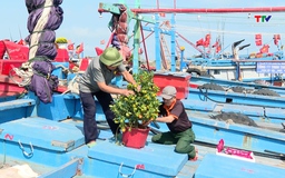 Không khí chuẩn bị đón Tết của ngư dân