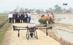 Cơ hội tỉ USD cho kinh tế tầm thấp Việt Nam