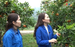 Hỗ trợ thanh niên tham gia chương trình OCOP