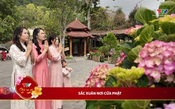 Bản tin Du lịch ngày 19/02/2026