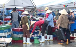Ngư dân Thanh Hóa tấp nập ra khơi những ngày đầu năm mới