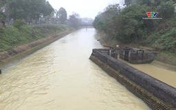 Đảm bảo nguồn nước cho cây trồng sinh trưởng phát triển