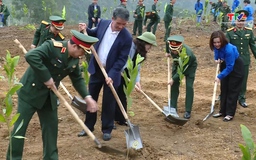 Cục Quân khí tổ chức Tết trồng cây 